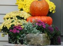 Autumn-Door-sm