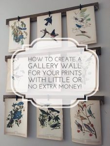 Bird Print Gallery Wall